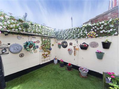 Picture 24